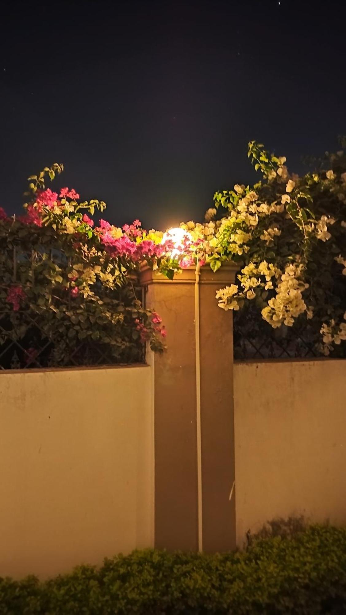 Shree Nanda Guest House バラナシ エクステリア 写真